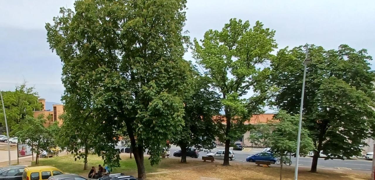 Luminosissimo Appartamento Viareggio Centro Ngoại thất bức ảnh